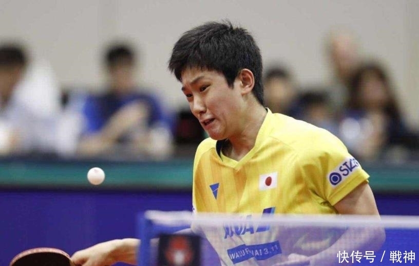 迅速在各大 迅速在各大