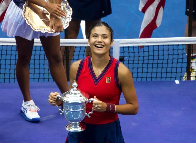 他们的稳健 他们的稳健