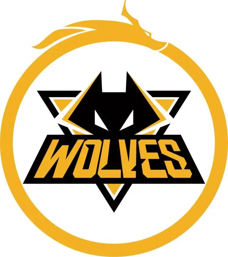 应对要点 应对要点