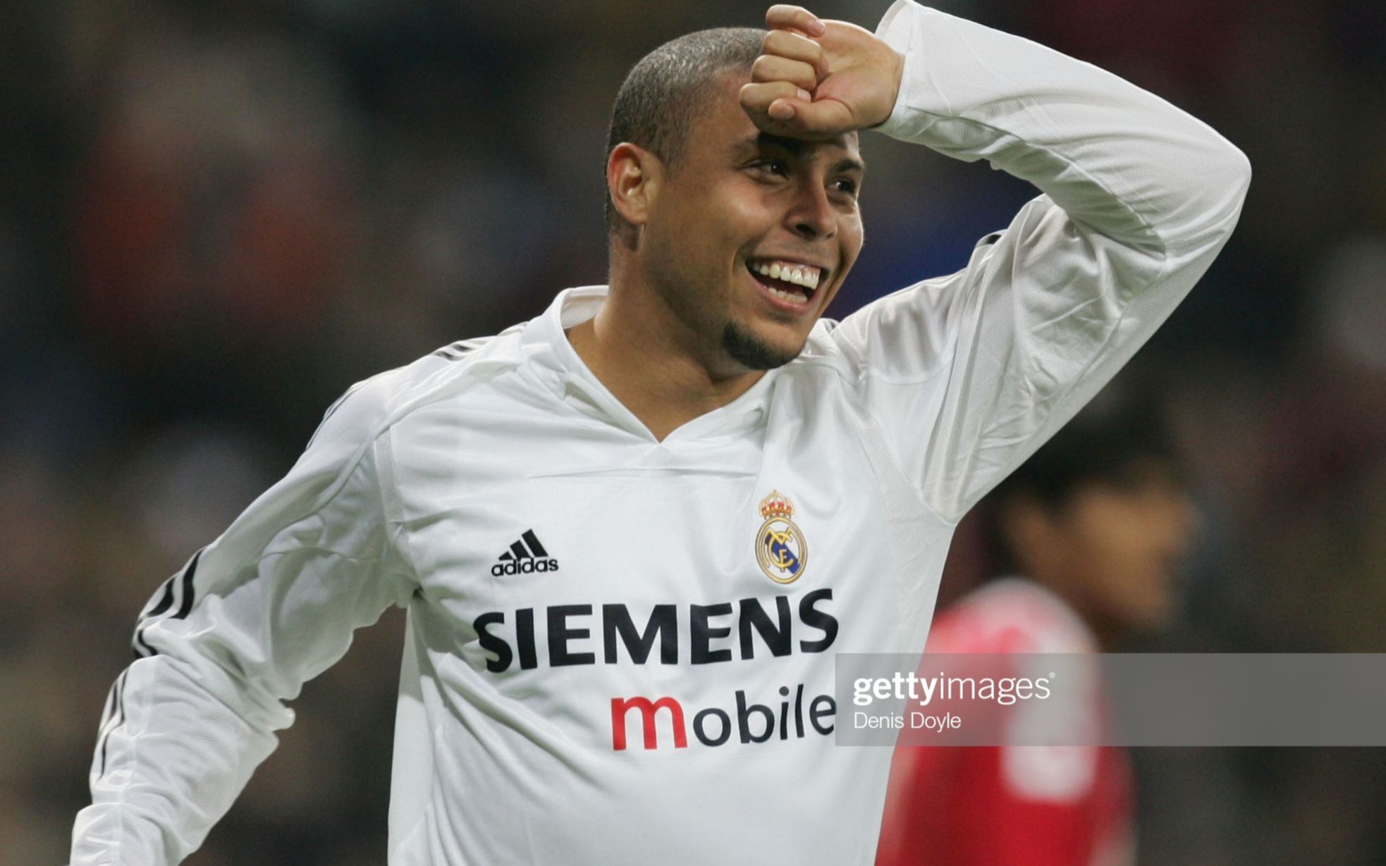 的持续进化 的持续进化